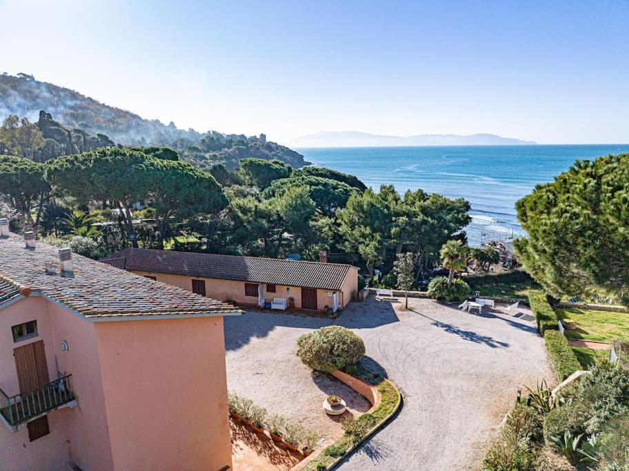 Affitti Brevi Toscana Apartment