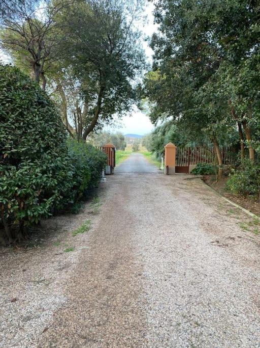 Apartment Affitti Brevi Toscana *